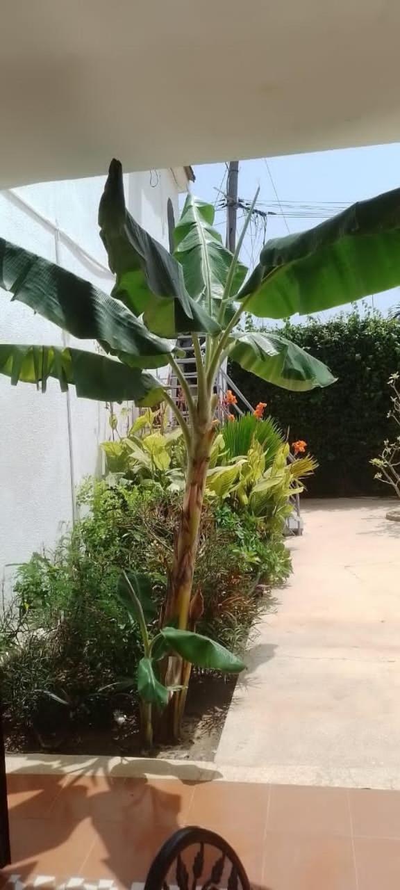 Riad Cote Jardin Saly Portudal Exteriör bild